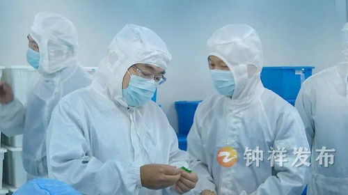 周军带队赴南昌、上海开展精准招商考察 聚焦产业升级与项目合作