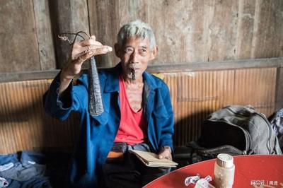 悬丝诊脉 传统兽医技艺中的神奇诊脉